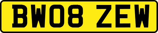 BW08ZEW