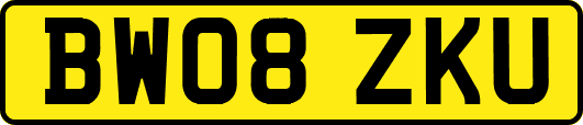BW08ZKU