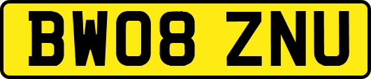 BW08ZNU