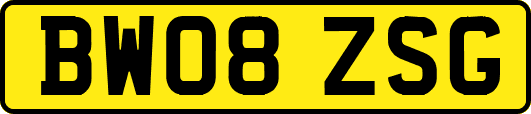 BW08ZSG