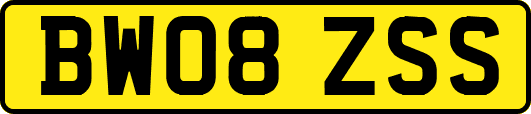 BW08ZSS