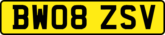 BW08ZSV
