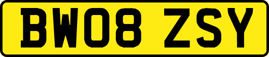 BW08ZSY