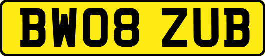 BW08ZUB