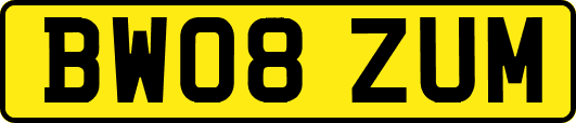 BW08ZUM