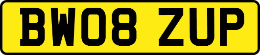 BW08ZUP