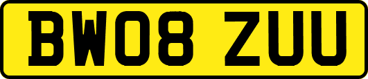 BW08ZUU