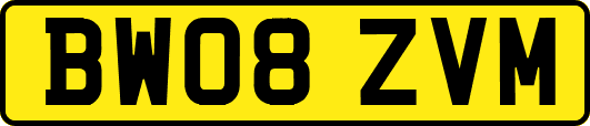 BW08ZVM