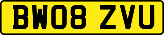 BW08ZVU