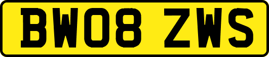 BW08ZWS
