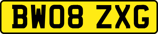 BW08ZXG