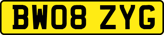 BW08ZYG
