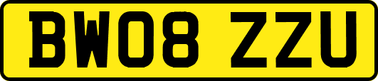 BW08ZZU