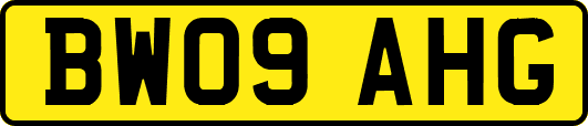 BW09AHG