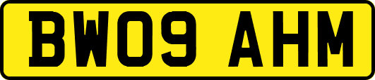 BW09AHM
