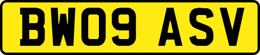 BW09ASV