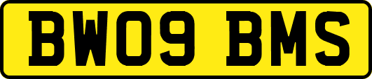 BW09BMS