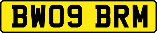 BW09BRM