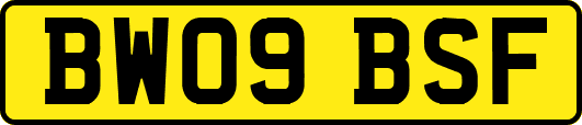 BW09BSF