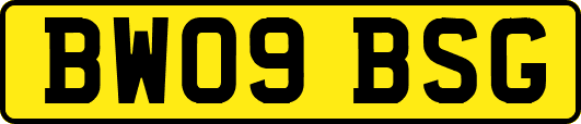 BW09BSG