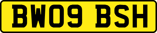 BW09BSH