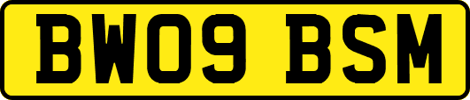 BW09BSM
