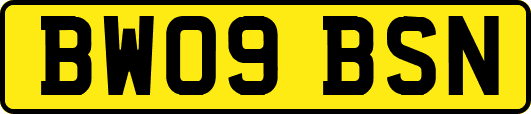 BW09BSN
