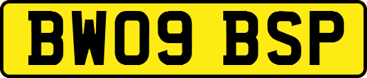 BW09BSP