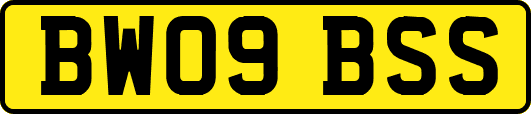BW09BSS