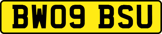 BW09BSU