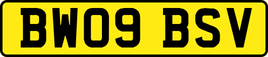 BW09BSV