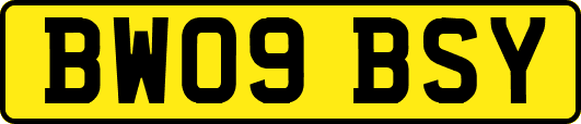 BW09BSY