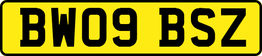 BW09BSZ