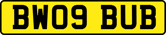 BW09BUB