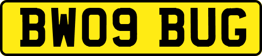 BW09BUG