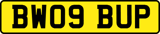 BW09BUP