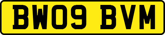 BW09BVM