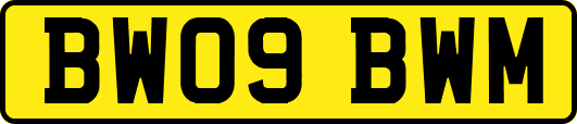 BW09BWM