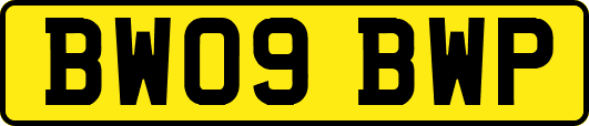 BW09BWP