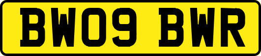 BW09BWR