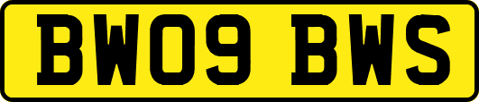 BW09BWS