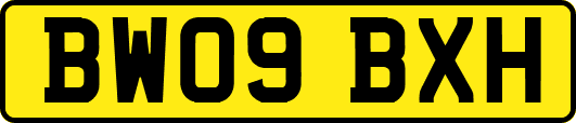 BW09BXH