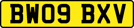 BW09BXV