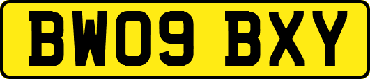 BW09BXY