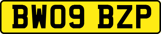 BW09BZP