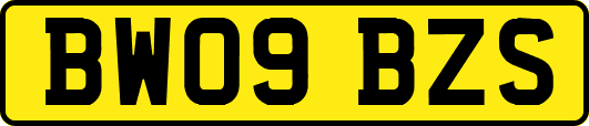 BW09BZS