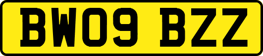 BW09BZZ