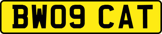 BW09CAT