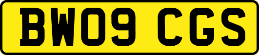BW09CGS