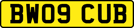 BW09CUB